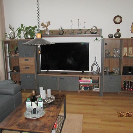 Zentrale-Ruhige Ferienwohnung Райхенбах-им-Фогтланд Екстериор снимка