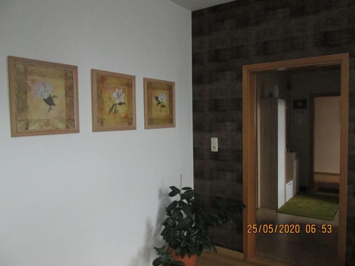Zentrale-Ruhige Ferienwohnung Райхенбах-им-Фогтланд Екстериор снимка