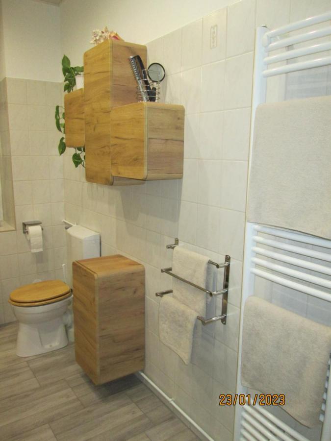 Zentrale-Ruhige Ferienwohnung Райхенбах-им-Фогтланд Екстериор снимка