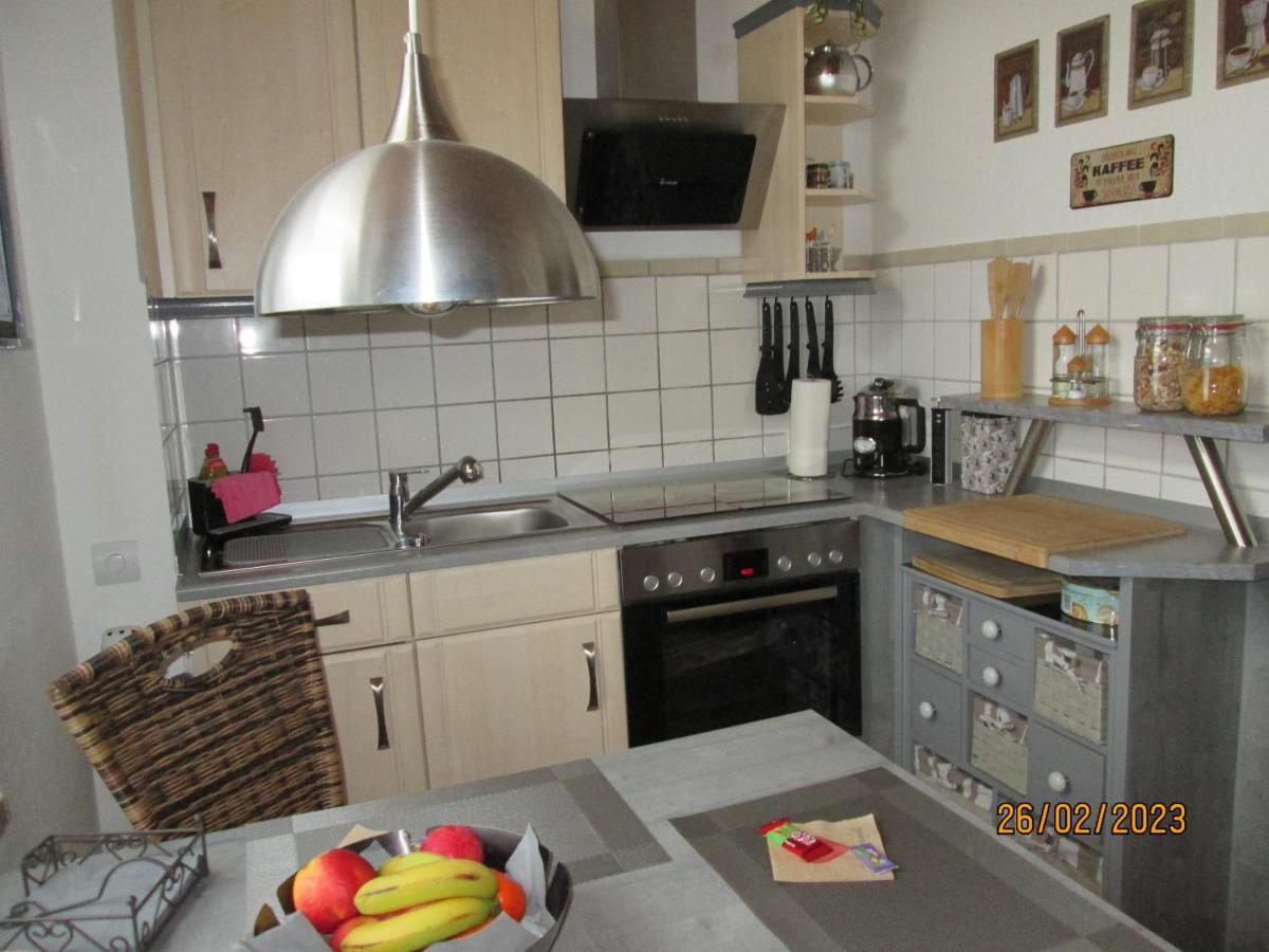 Zentrale-Ruhige Ferienwohnung Райхенбах-им-Фогтланд Екстериор снимка